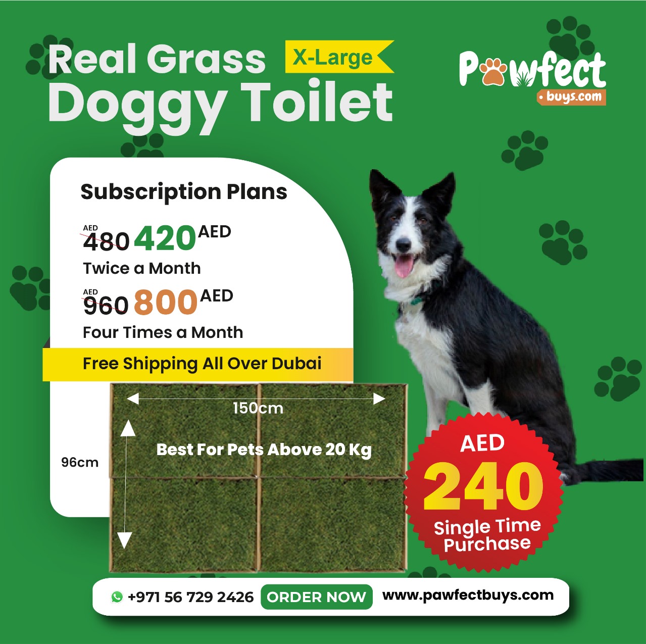 Real Grass For X Large Pet Pawfect Buys